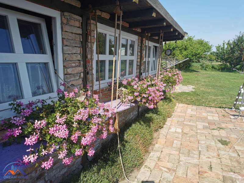 A family house in Okoličná na Ostrove with a brick facade and flowers in window boxes.