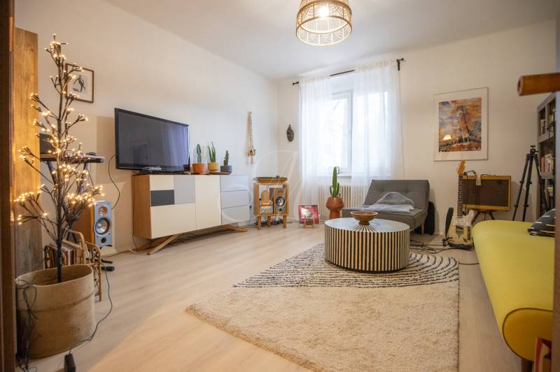 Living room with wood-patterned flooring, a sofa, and decorations in a two-room apartment.