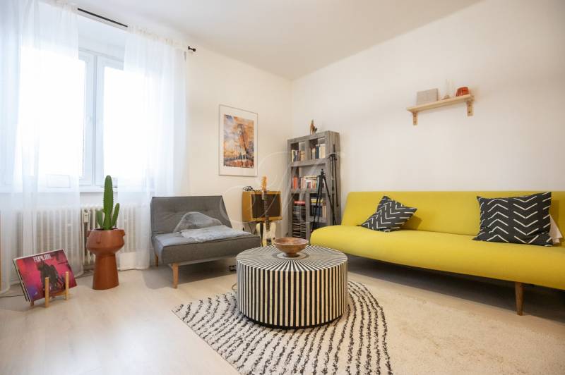 Living room of a two-room apartment with a colorful sofa, a cactus, and a wooden decor floor.