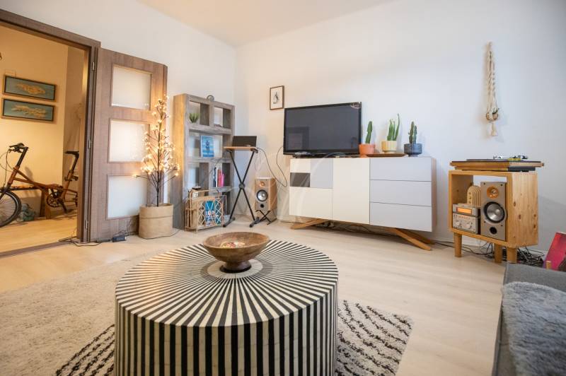 Living room in a two-room apartment with a wooden decor floor, stylish furniture, and decorations.