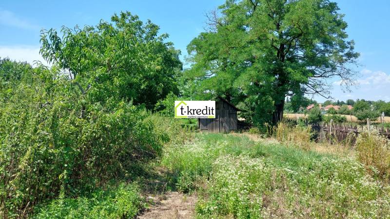 A garden with a wooden cottage in Nevidzany, surrounded by lush vegetation and trees.