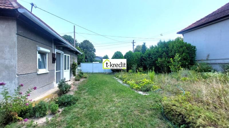 A garden at a family house in Nevidzany with a lawn and various ornamental plants.