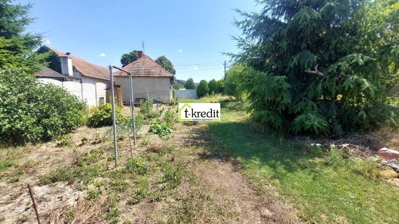 A garden at a family house in Nevidzany with plants and trees, grassy and earthy surface.