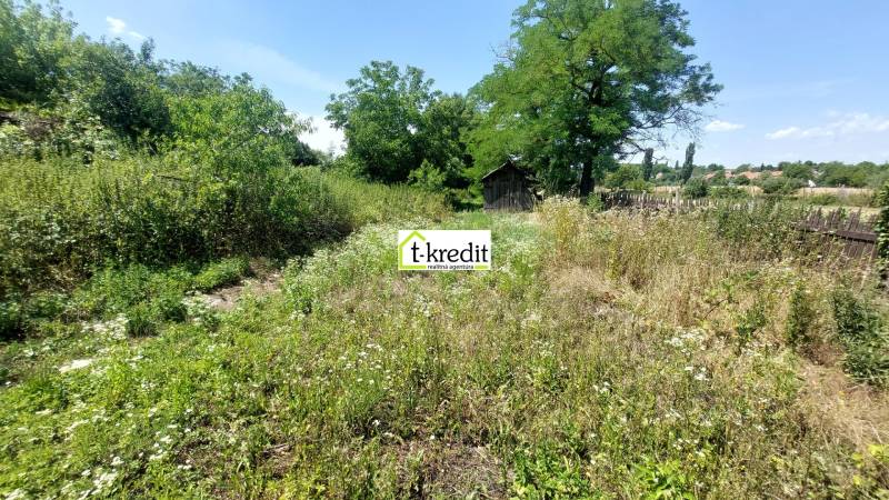A garden by a family house in Nevidzany with tall grass, trees, and a wooden cottage.