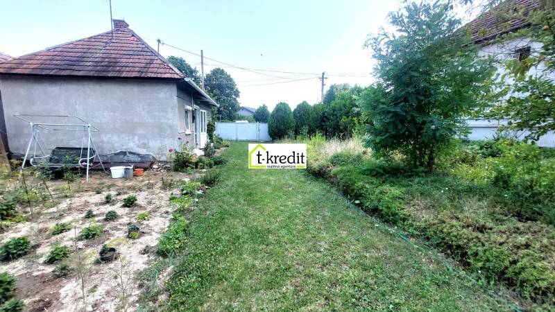 A garden at a family house in Nevidzany with a lawn, shrubs, and a swing.