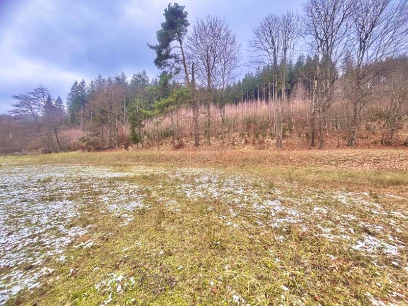 Snow-covered residential plots in Makov on Čierny, surrounded by trees and grass.