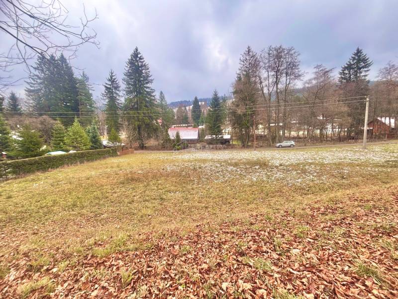 A snowy meadow with conifers on the edge of Čierne in Makov, suitable for living.