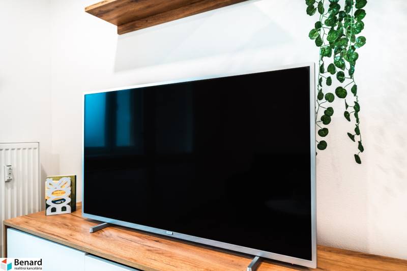A television on a cabinet with a wooden floor decor and greenery in a 2-room apartment.