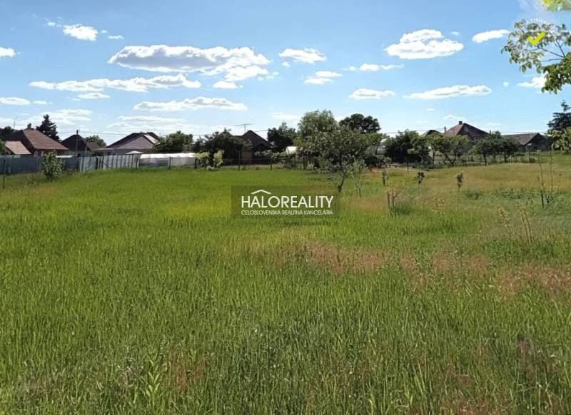 Grassy areas in the gardens of Marcelová, surrounded by houses in sunny weather.