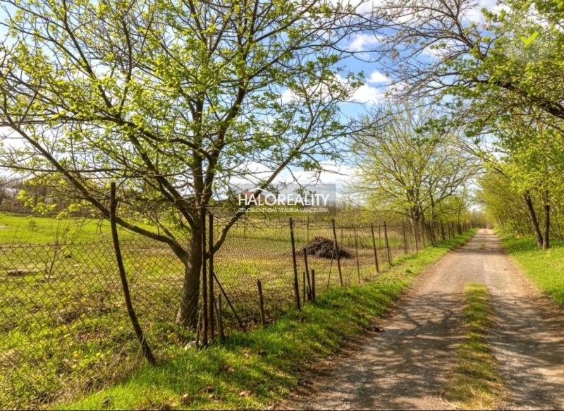 Natural nooks and a path in the Gardens near Marcelová with spring greenery and a fence.