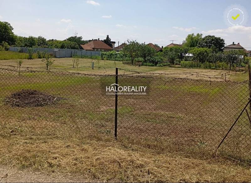 Gardens in Marcelová with a grassy surface and fencing, trees in the background.