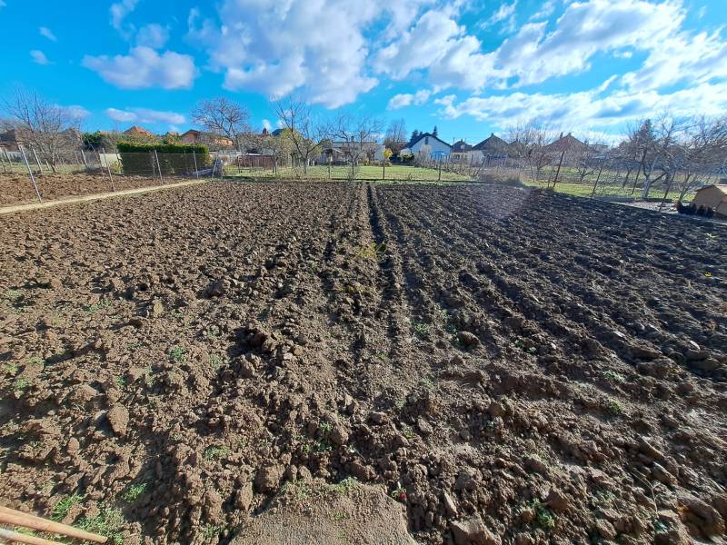 Plowed land in the garden, surrounded by a fence and houses in the town of Vráble on Bernolákova Street.