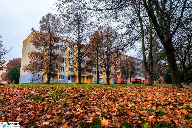 A view of the apartment building on Ľudová Street in the Západ district, Košice, from the autumn park.