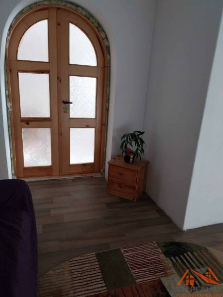 Arched wooden door, table with a plant, carpet, and floor with wooden decor in a family house.