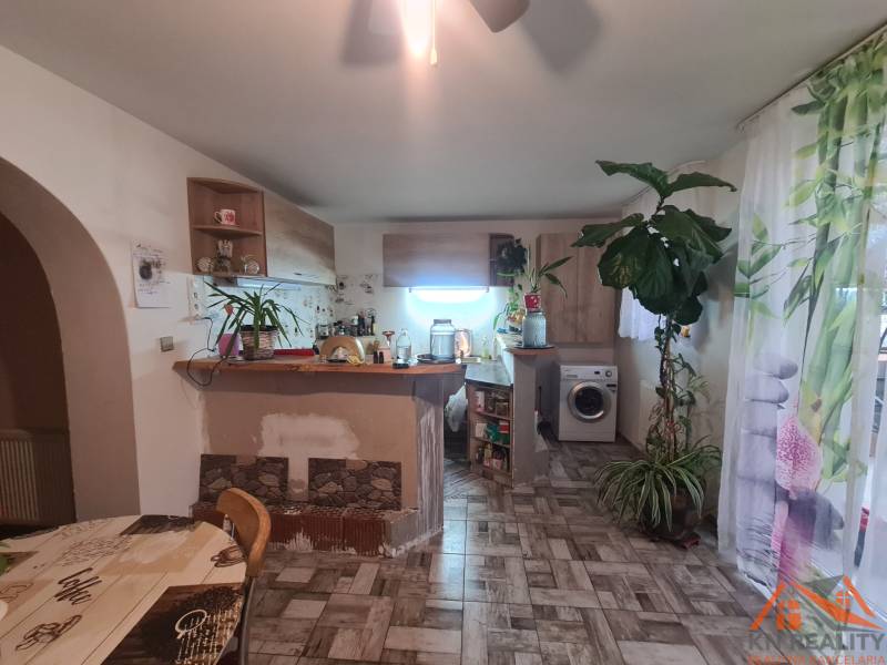 Interior of a family house with a kitchen, houseplants, and a wooden-patterned floor.