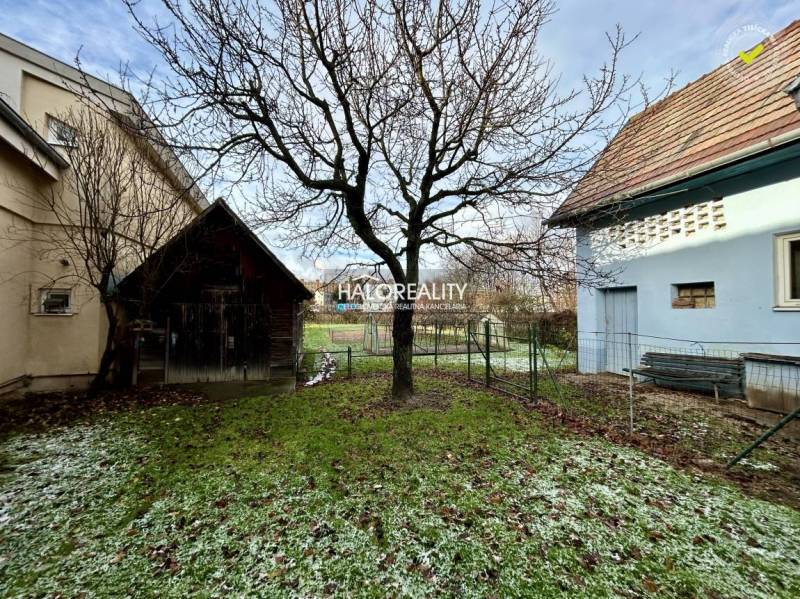 A snowy garden next to a family house in Prievidza with a wooden shed and a tree.