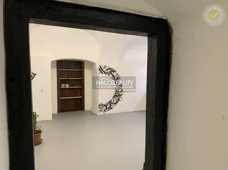The interior of offices with white walls and black decorations, plants on the floor.