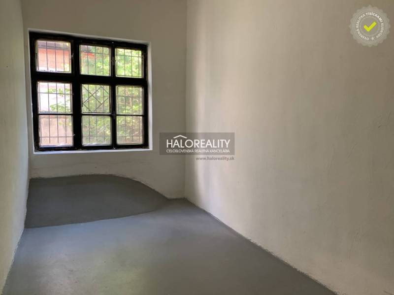 Translate this into English, I only want the translation as output: