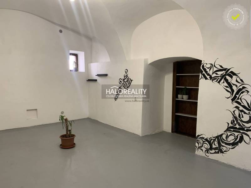 Offices with white walls, floral pattern, and a small potted plant.