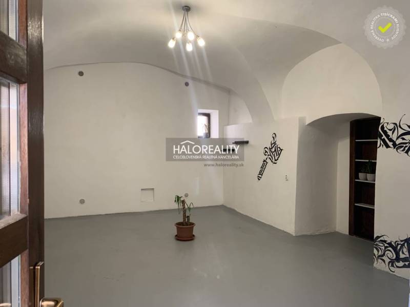 The interior of offices with white walls, an arched ceiling, and a potted plant.