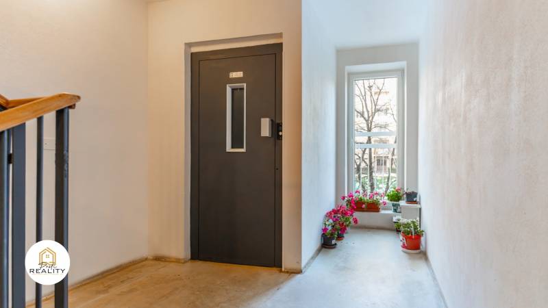 Hallway with an elevator and plants in a 4-room apartment.