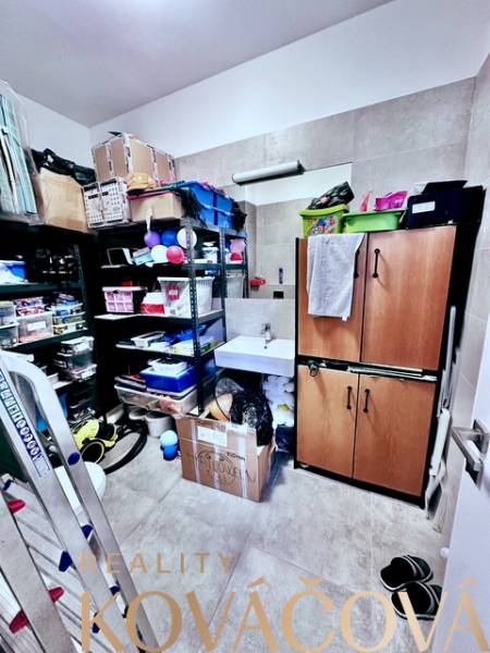 Storage space in offices with shelves, a cabinet, and numerous boxes.