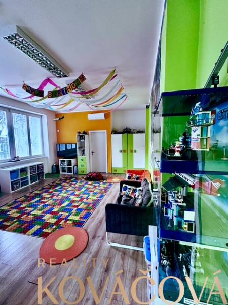 Colorful playroom with a decorated ceiling, carpet, and toys, wooden decor flooring in offices.