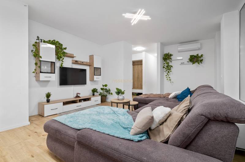 Living room with a comfortable gray sofa, wood-patterned flooring, and green plants.