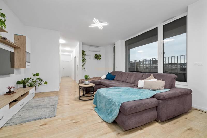 Living room with a large sofa, wooden decor flooring, and plants in a 3-room apartment.