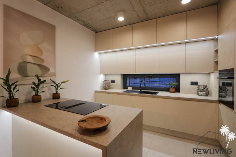 A kitchen in a family house with plants and a sink, flooring with a wooden decor.