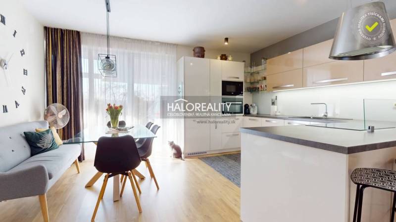 Living room with kitchen and dining area, bright room, dining table, family house.