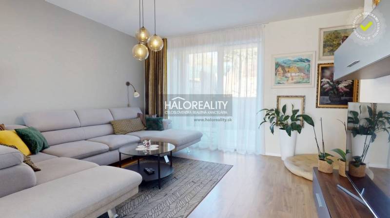 Living room in a family house with a comfortable sofa, wooden decor flooring, and plants.