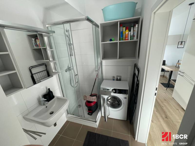 Bathroom with a shower, washing machine, and storage space in a studio apartment.