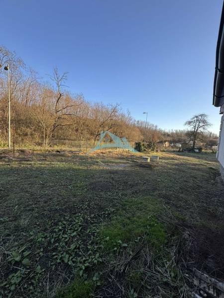 A garden by a family house in Demandice with trees and an extensive grassy area.