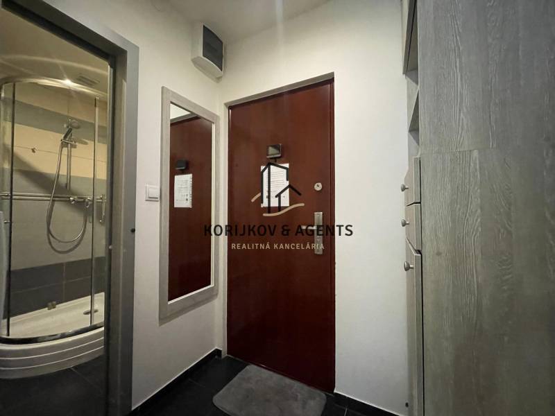Entrance to a studio apartment with a shower, dark flooring, and a mirror in the hallway.