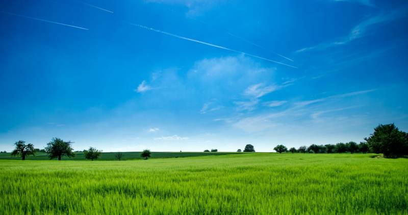 Green field under a blue sky, suitable for residential land in Čečejovce.