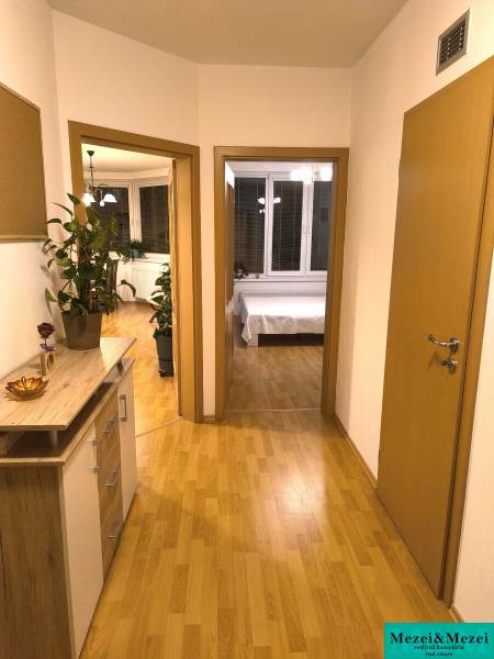 A hallway in a 2-room apartment with a wooden decor floor and plants.