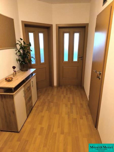 A hallway in a 2-room apartment with a wood-patterned floor and brown doors.