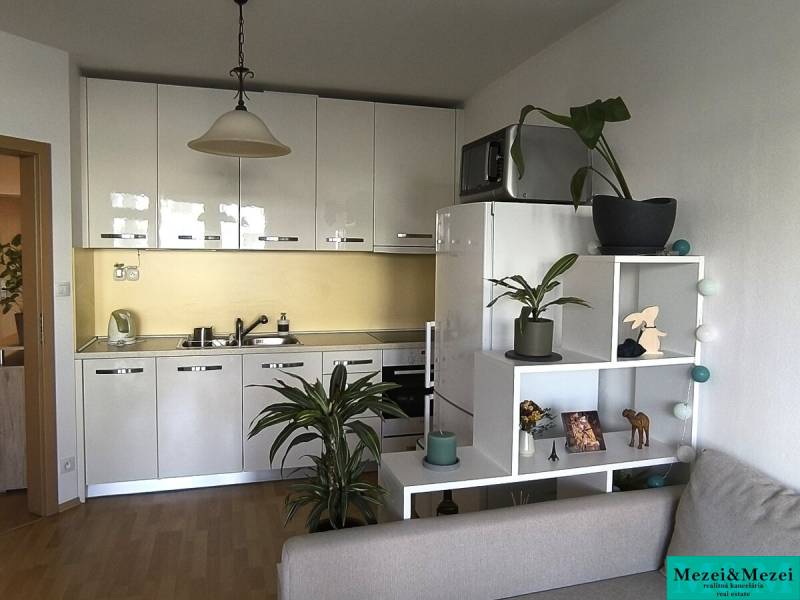 A kitchen in a 2-room apartment with white cabinets and a wooden decor floor.