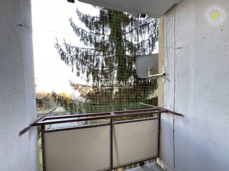 A balcony with a view of a coniferous tree in a 3-room apartment in Banská Bystrica.