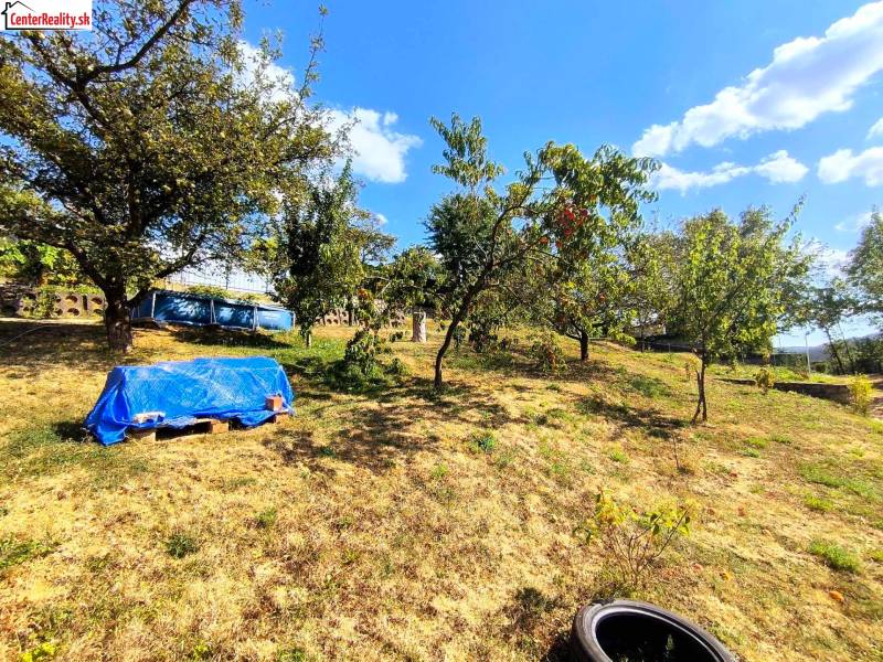 A garden by the cottage in Partizánske with fruit trees and a blue swimming pool.