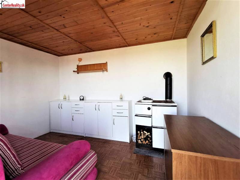 A room with a stove, cabinets, and a sofa is made cozier by the wooden ceiling of the cabin.