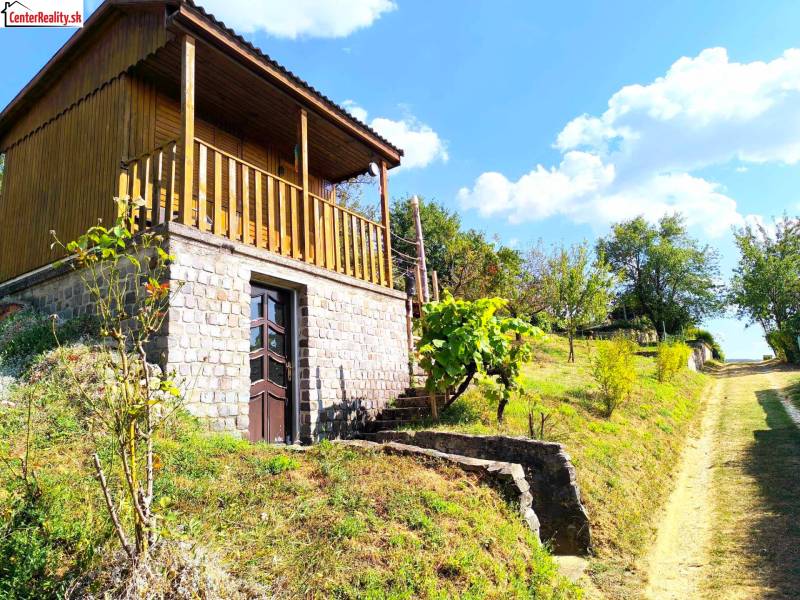 In the picture, there is a wooden cabin surrounded by greenery and an adjacent road.