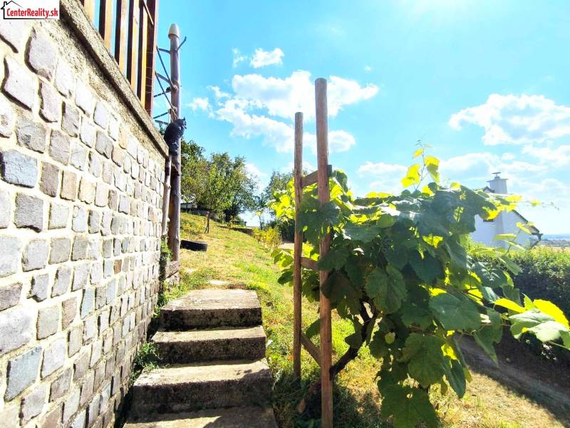 Stone steps next to the cottage with vines and a view of the surrounding nature.