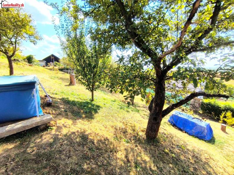 On the slope, there are trees, a lawn, a cottage, and a covered pool in a spacious garden.