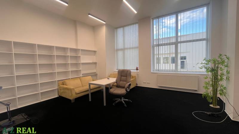 Offices with black carpet, furniture, shelving systems, and large windows.