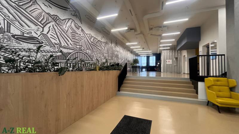 Offices with wood-patterned flooring, stairs, an armchair, and a large wall mural.