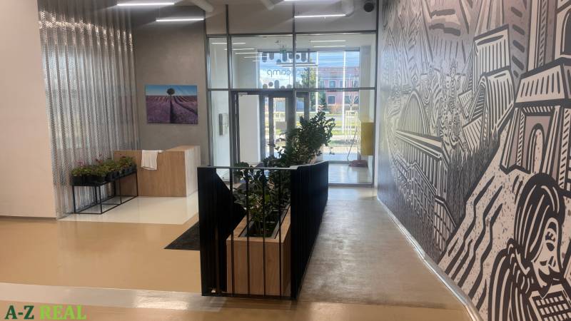 Interior with art on the wall, reception desk, plants, and glass entrance in the office.