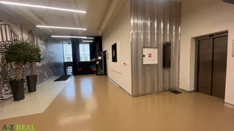 A hallway in offices with a shiny floor, an elevator, and a decorative wall with plants.