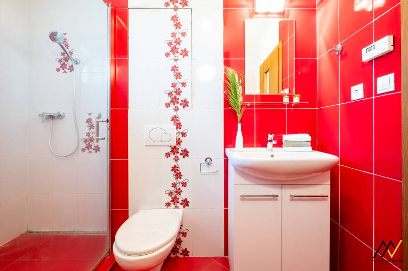 A bathroom in a 2-room apartment with red tiles and a shower, decorated with a floral pattern.